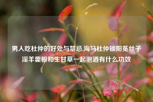 男人吃杜仲的好处与禁忌,海马杜仲锁阳菟丝子淫羊藿根和生甘草一起泡酒有什么功效