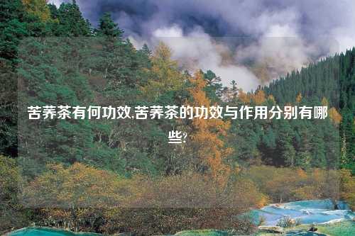 苦荞茶有何功效,苦荞茶的功效与作用分别有哪些?