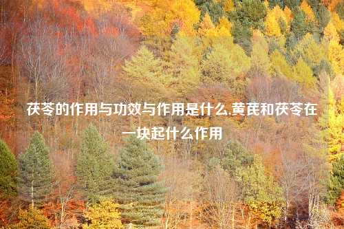 茯苓的作用与功效与作用是什么,黄芪和茯苓在一块起什么作用