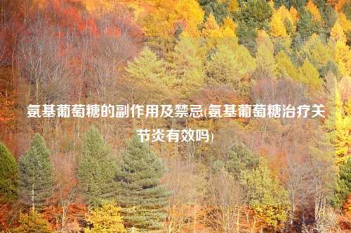 氨基葡萄糖的副作用及禁忌(氨基葡萄糖治疗关节炎有效吗)
