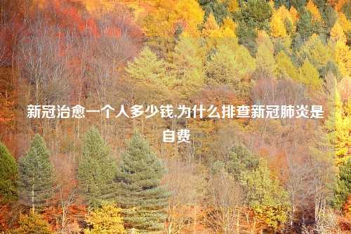 新冠治愈一个人多少钱,为什么排查新冠肺炎是自费