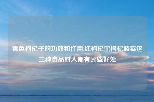 青色枸杞子的功效和作用,红枸杞黑枸杞蓝莓这三种食品对人都有哪些好处