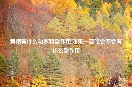 黄精有什么功效和副作用,如果一直吃会不会有什么副作用