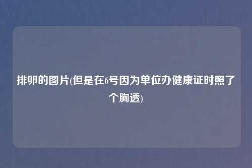 排卵的图片(但是在6号因为单位办健康证时照了个胸透)