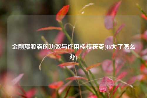 金刚藤胶囊的功效与作用桂枝茯苓(46大了怎么办)
