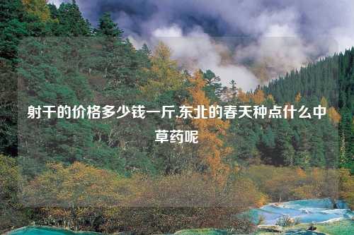 射干的价格多少钱一斤,东北的春天种点什么中草药呢