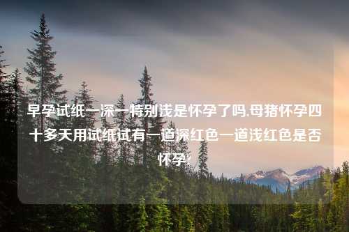 早孕试纸一深一特别浅是怀孕了吗,母猪怀孕四十多天用试纸试有一道深红色一道浅红色是否怀孕?