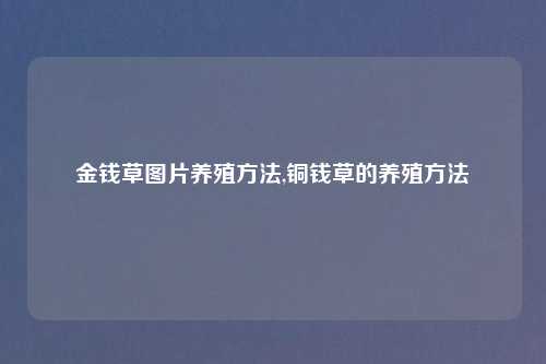 金钱草图片养殖方法,铜钱草的养殖方法