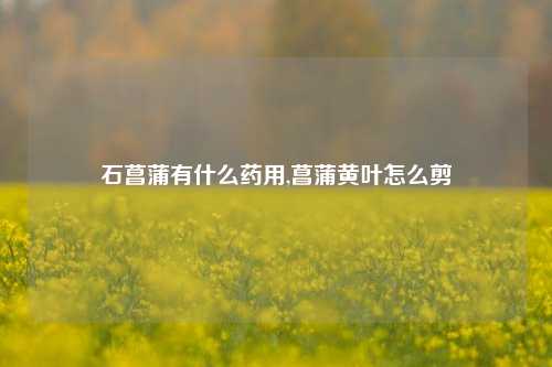 石菖蒲有什么药用,菖蒲黄叶怎么剪