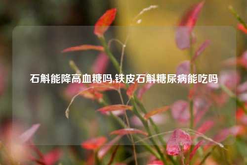 石斛能降高血糖吗,铁皮石斛糖尿病能吃吗