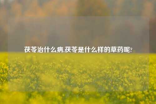茯苓治什么病,茯苓是什么样的草药呢?