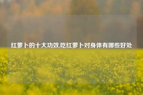红萝卜的十大功效,吃红萝卜对身体有哪些好处