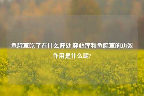 鱼腥草吃了有什么好处,穿心莲和鱼腥草的功效作用是什么呢?