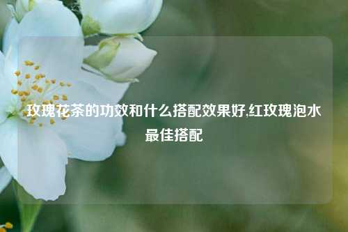 玫瑰花茶的功效和什么搭配效果好,红玫瑰泡水最佳搭配