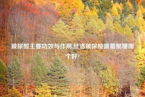 玻尿酸主要功效与作用,丝洛玻尿酸跟葡聚糖哪个好?