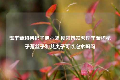霪羊藿和枸杞子泡水喝,锁阳肉苁蓉淫羊藿枸杞子菟丝子和女贞子可以泡水喝吗