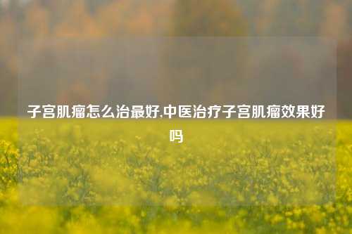子宫肌瘤怎么治最好,中医治疗子宫肌瘤效果好吗