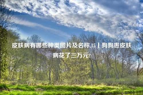 皮肤病有哪些种类图片及名称,15丨狗狗患皮肤病花了三万元?