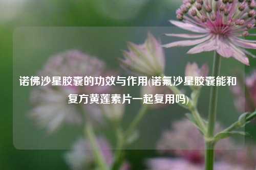 诺佛沙星胶囊的功效与作用(诺氟沙星胶囊能和复方黄莲素片一起复用吗)