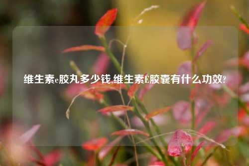 维生素e胶丸多少钱,维生素E胶囊有什么功效?