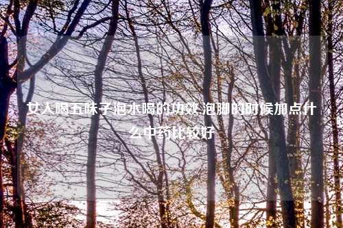 女人喝五味子泡水喝的功效,泡脚的时候加点什么中药比较好