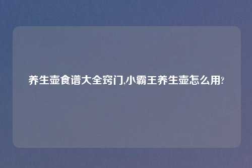 养生壶食谱大全窍门,小霸王养生壶怎么用?