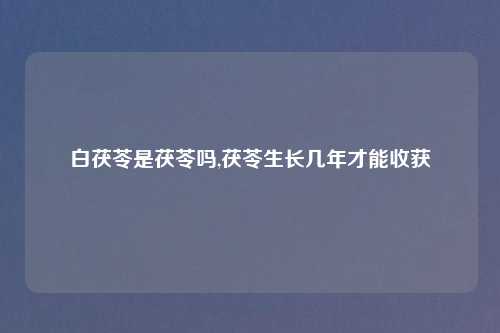 白茯苓是茯苓吗,茯苓生长几年才能收获