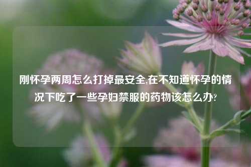刚怀孕两周怎么打掉最安全,在不知道怀孕的情况下吃了一些孕妇禁服的药物该怎么办?