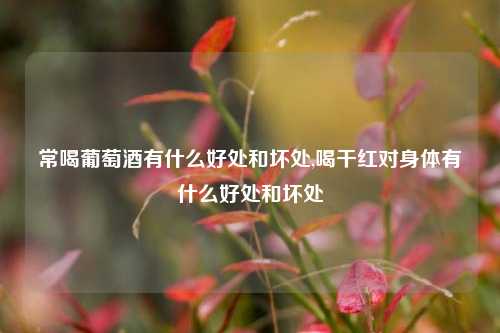 常喝葡萄酒有什么好处和坏处,喝干红对身体有什么好处和坏处