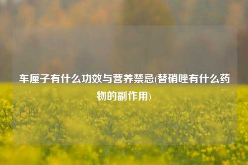 车厘子有什么功效与营养禁忌(替硝唑有什么药物的副作用)