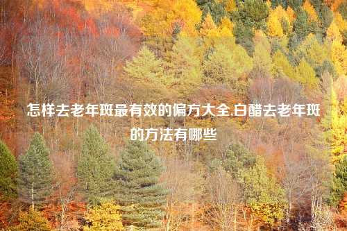 怎样去老年斑最有效的偏方大全,白醋去老年斑的方法有哪些