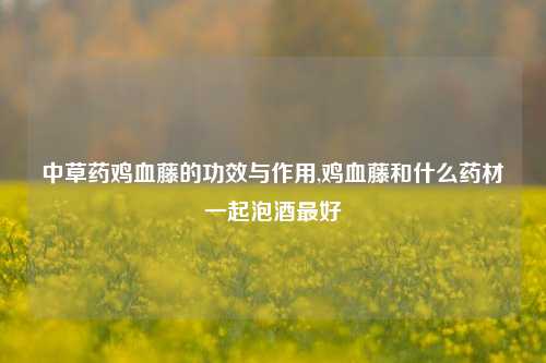 中草药鸡血藤的功效与作用,鸡血藤和什么药材一起泡酒最好