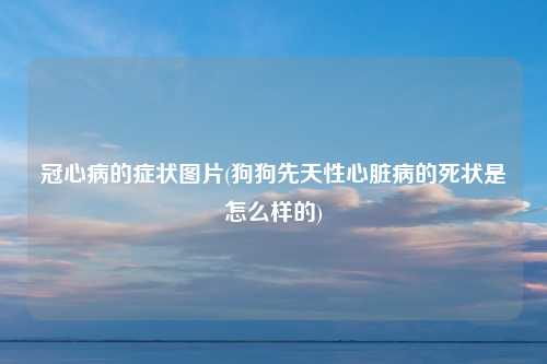 冠心病的症状图片(狗狗先天性心脏病的死状是怎么样的)