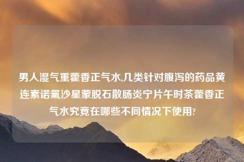 男人湿气重藿香正气水,几类针对腹泻的药品黄连素诺氟沙星蒙脱石散肠炎宁片午时茶藿香正气水究竟在哪些不同情况下使用?