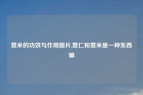 薏米的功效与作用图片,薏仁和薏米是一种东西嘛