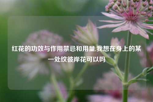 红花的功效与作用禁忌和用量,我想在身上的某一处纹彼岸花可以吗