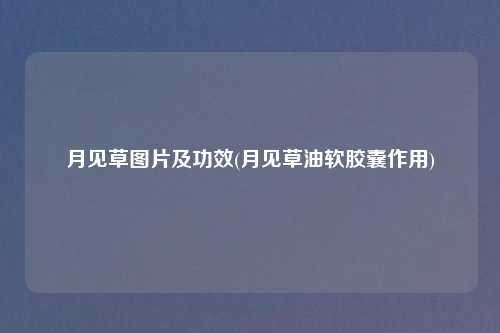 月见草图片及功效(月见草油软胶囊作用)