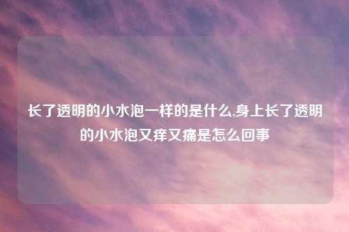 长了透明的小水泡一样的是什么,身上长了透明的小水泡又痒又痛是怎么回事