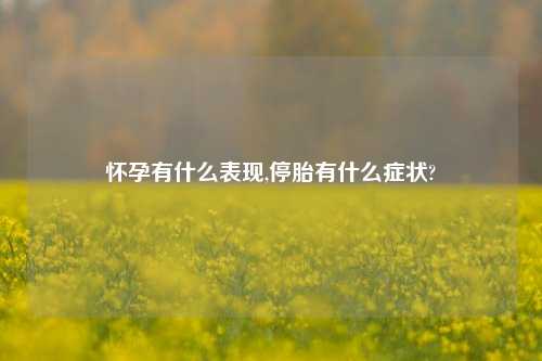 怀孕有什么表现,停胎有什么症状?