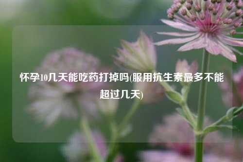 怀孕10几天能吃药打掉吗(服用抗生素最多不能超过几天)