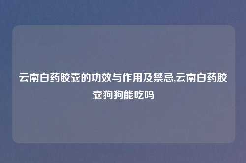 云南白药胶囊的功效与作用及禁忌,云南白药胶囊狗狗能吃吗