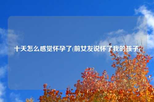 十天怎么感觉怀孕了(前女友说怀了我的孩子)