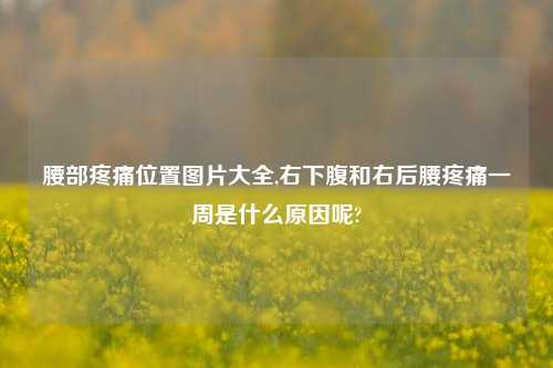 腰部疼痛位置图片大全,右下腹和右后腰疼痛一周是什么原因呢?
