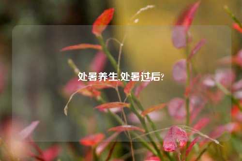 处暑养生,处暑过后?