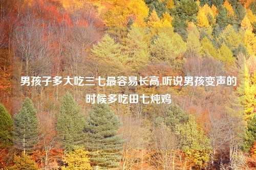 男孩子多大吃三七最容易长高,听说男孩变声的时候多吃田七炖鸡