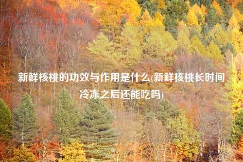 新鲜核桃的功效与作用是什么(新鲜核桃长时间冷冻之后还能吃吗)