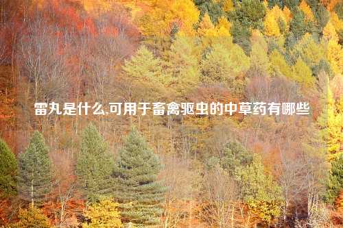 雷丸是什么,可用于畜禽驱虫的中草药有哪些