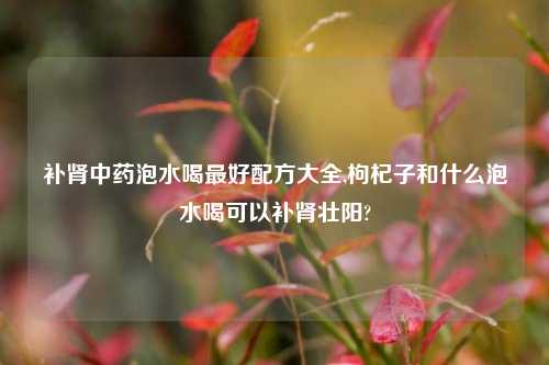 补肾中药泡水喝最好配方大全,枸杞子和什么泡水喝可以补肾壮阳?