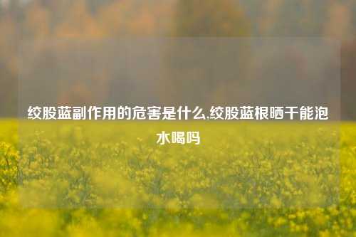 绞股蓝副作用的危害是什么,绞股蓝根晒干能泡水喝吗