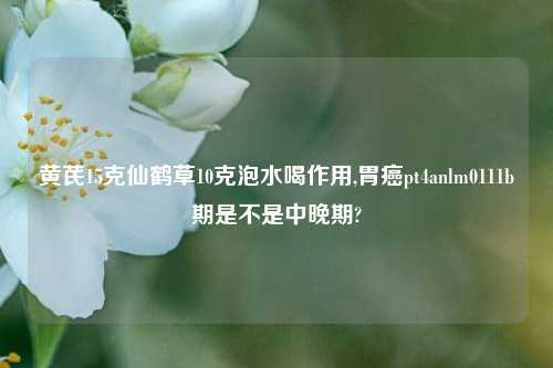 黄芪15克仙鹤草10克泡水喝作用,胃癌pt4anlm0111b期是不是中晚期?